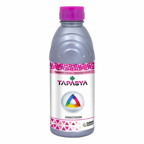 tapasya