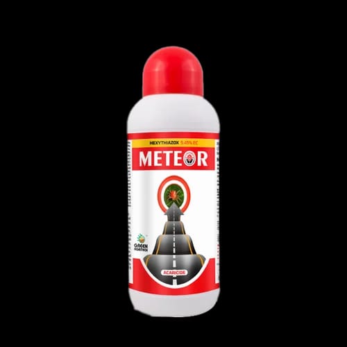 meteor