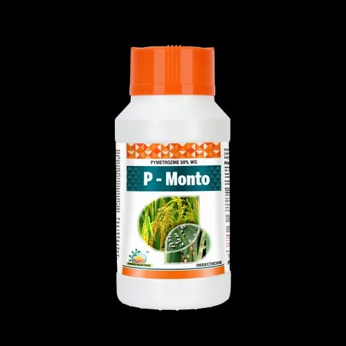 p-monto